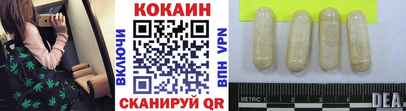 COCAIN Fish Scale  kraken вход  Вичуга 