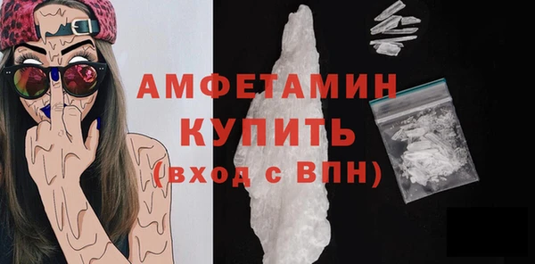 сатива Беломорск