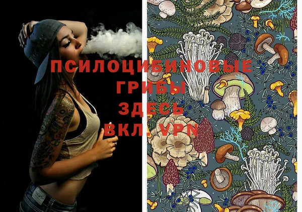 марихуана Белокуриха