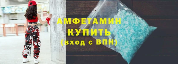 сатива Беломорск