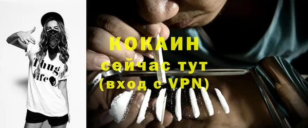 сатива Беломорск