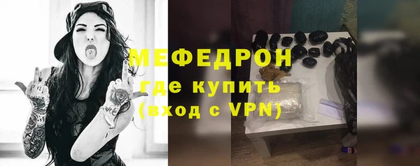 сатива Беломорск