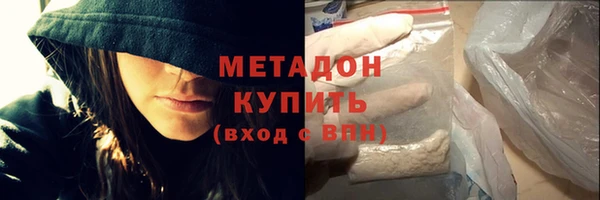 сатива Беломорск