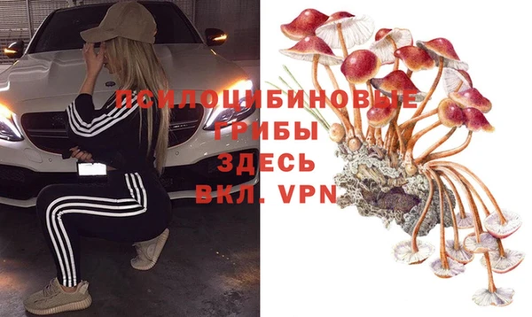 сатива Беломорск